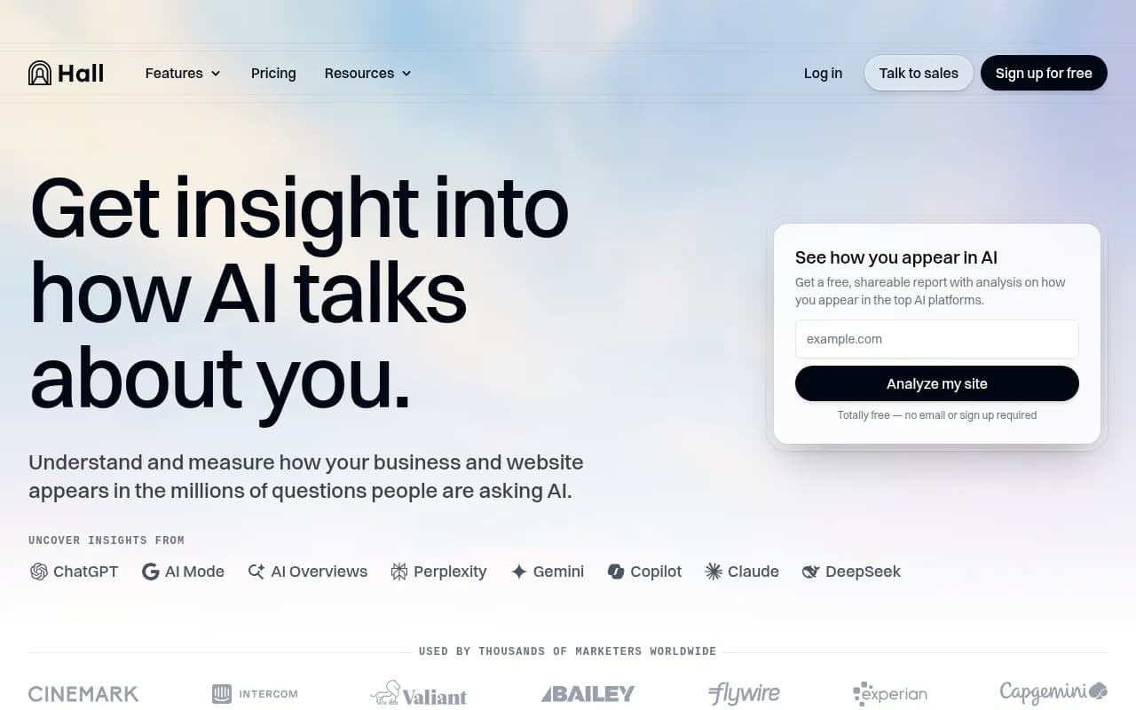 Screenshot of Hall AI website
