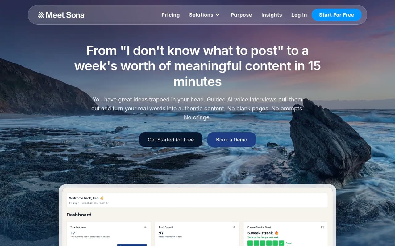 Screenshot of Meet Sona website