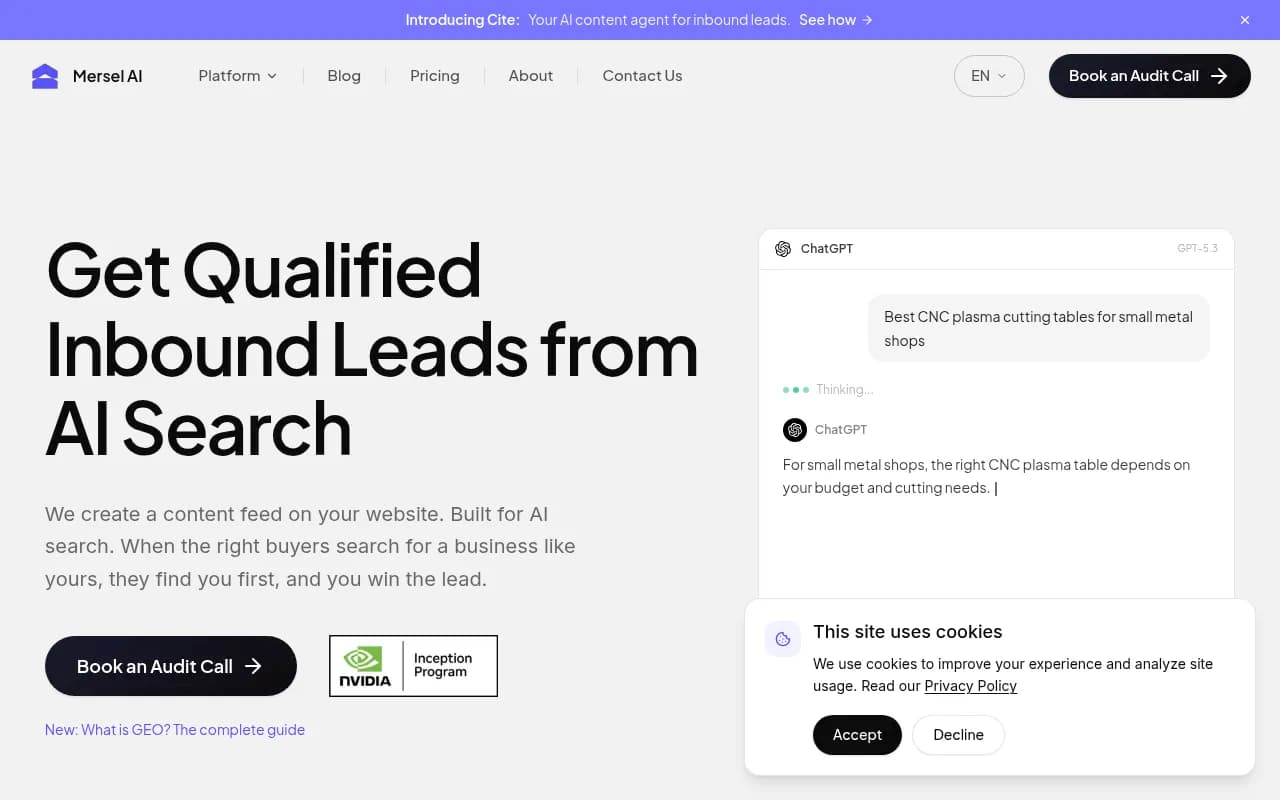 Screenshot of Mersel AI website
