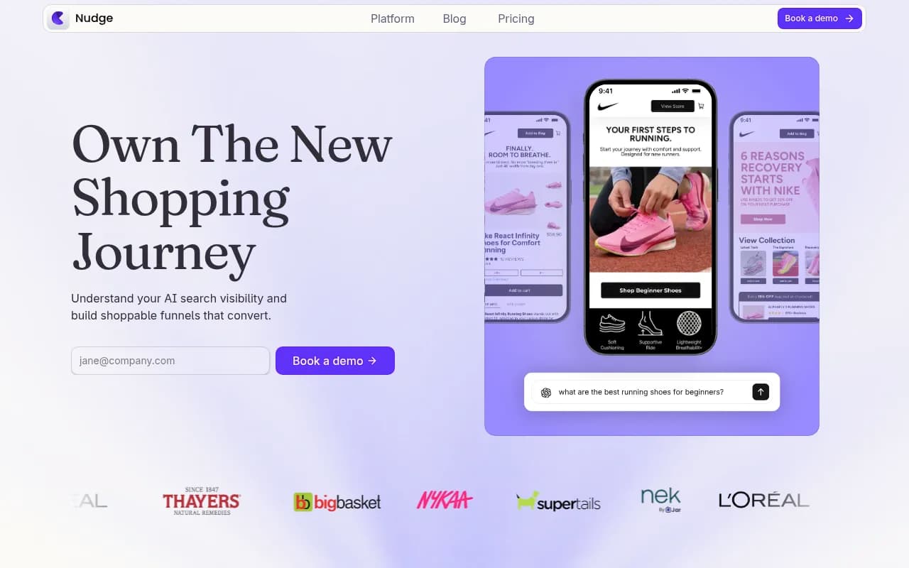 Screenshot of Nudge website