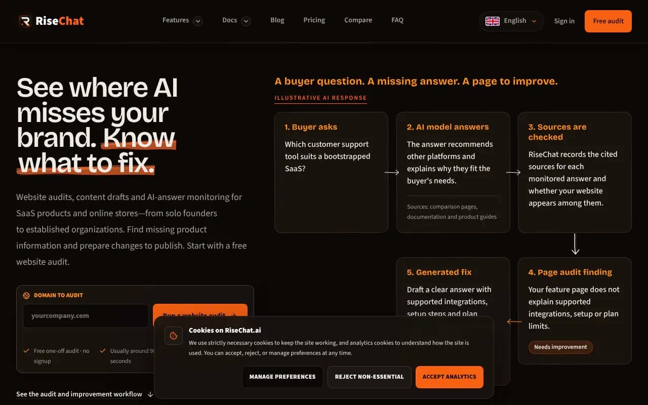 Screenshot of RiseChat.ai website