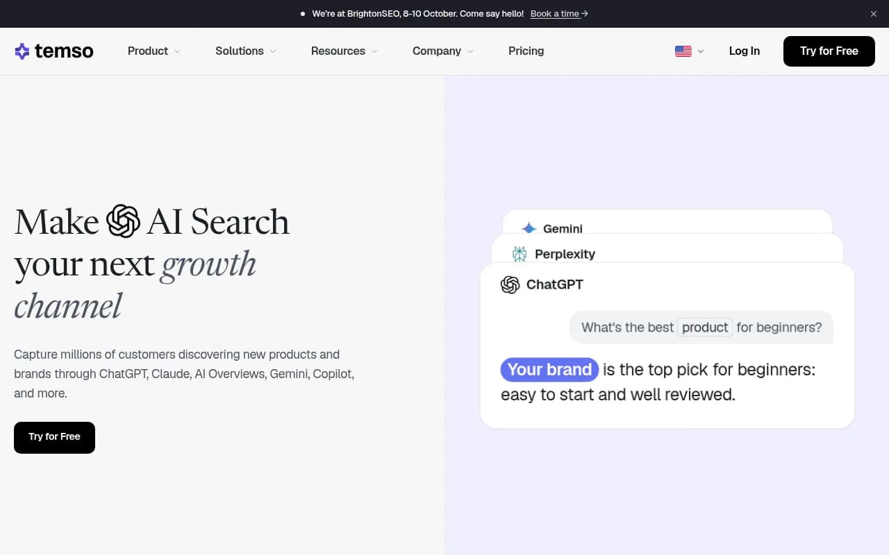 Screenshot of Temso AI website
