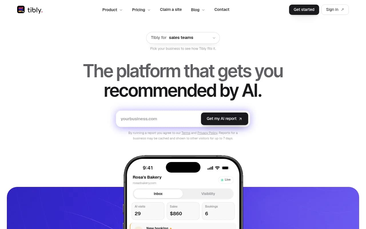 Screenshot of Tibly website