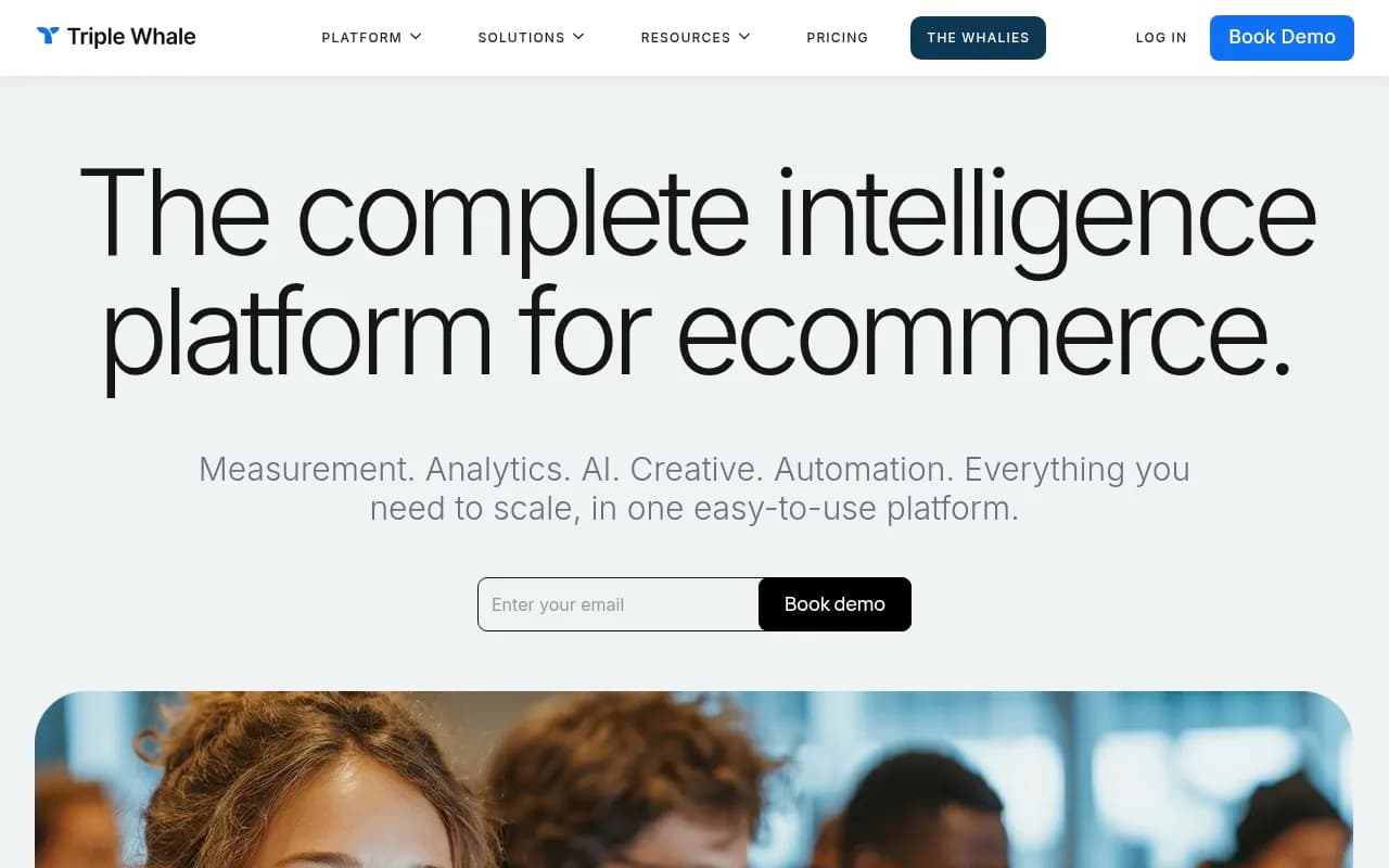 Screenshot of Triple Whale website